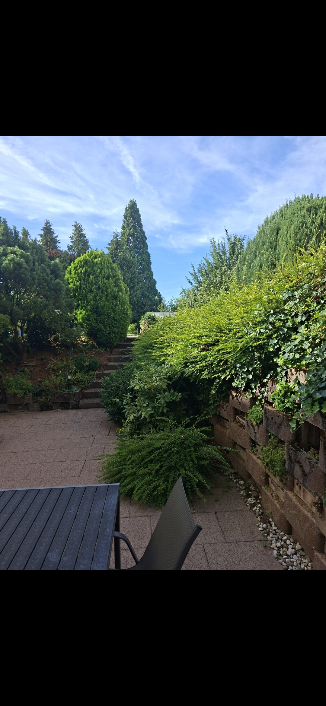 Terrasse und Treppe im Garten
